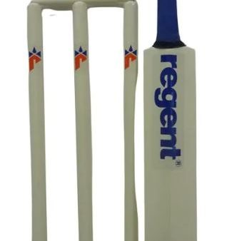 REGENT WOODEN CRICKET SET - STUMPS BALL & BAT IN CARRY BAG SIZE 5 Online now