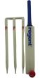 REGENT WOODEN CRICKET SET - STUMPS BALL & BAT IN CARRY BAG SIZE 5 Online now