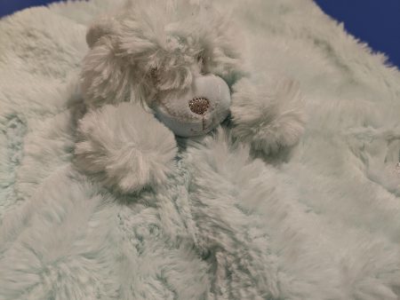 30CM BEAR BLANKET BLUE Online now