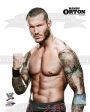 WWE World Wrestling Entertainment Randy Orton Edible Cake Topper Image ABPID07765 Supply