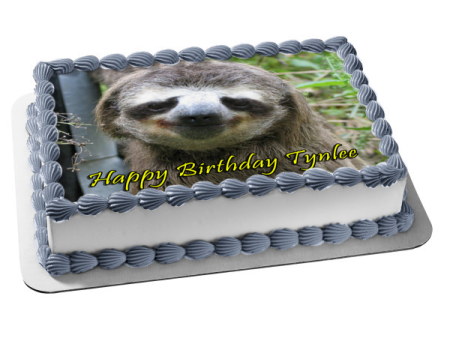 Sloth Smiling Edible Cake Topper Image ABPID49743 Cheap