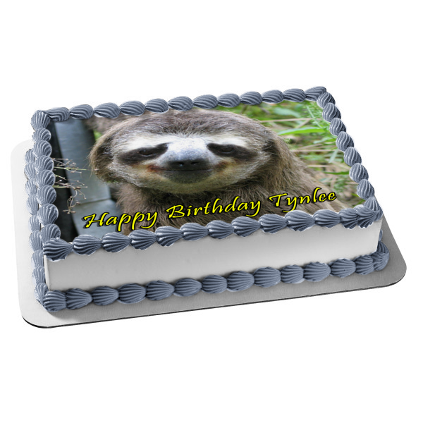 Sloth Smiling Edible Cake Topper Image ABPID49743 Cheap