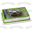 Sloth Smiling Edible Cake Topper Image ABPID49743 Cheap