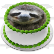 Sloth Smiling Edible Cake Topper Image ABPID49743 Cheap