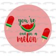 You re One In a Melon Watermelons Pink Background Edible Cake Topper Image ABPID50255 For Cheap